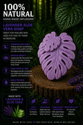 Lavender Aloe vera leaf