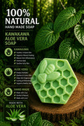 Kawakawa Aloe Vera beehive