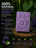 Lavender Aloe vera sunflower