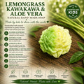 Lemongrass Kawakawa Aloe vera Flower