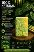 Lemongrass Kawakawa Aloe vera Butterfly