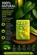 Lemongrass Kawakawa Aloe vera Dragonfly